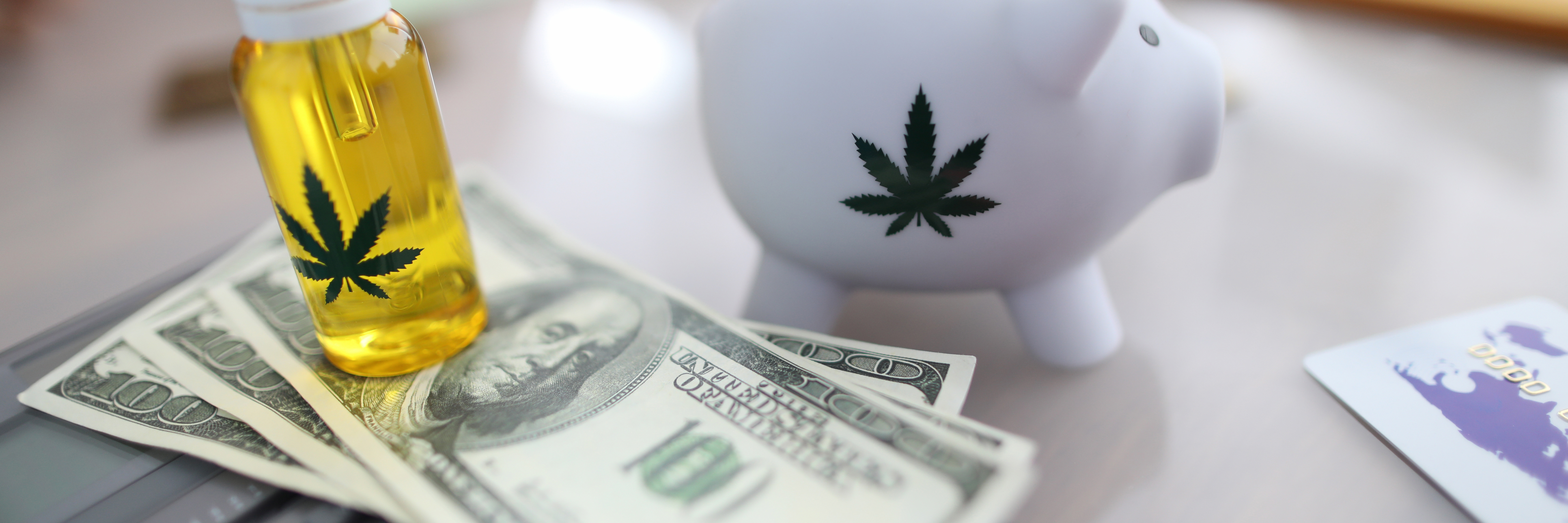 Cannabis Payroll Software | Evolve HCM | Cannabis Payroll Company