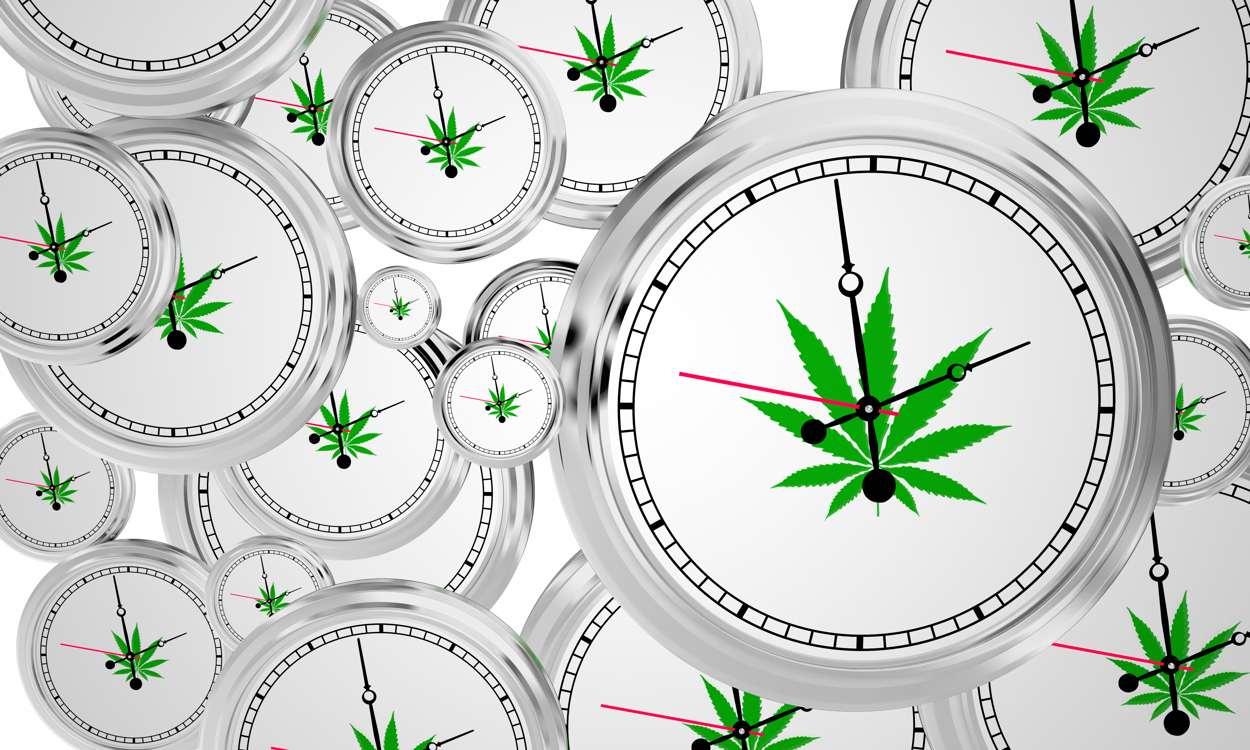 Cannabis Timekeeping Software | Evolve HCM